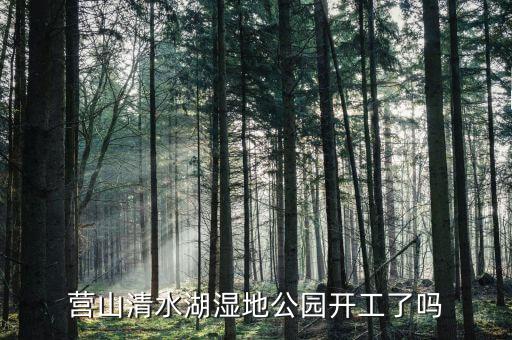 岱湖濕地什么開工，營山清水湖濕地公園開工了嗎