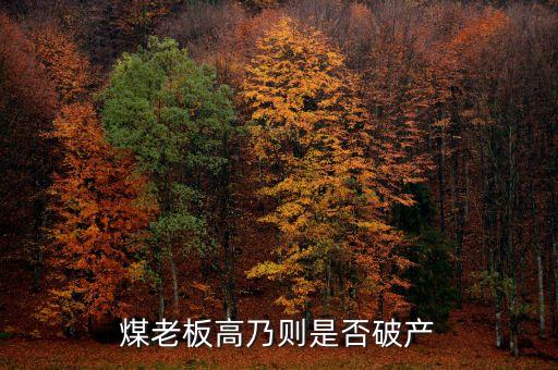 七千萬(wàn)嫁女煤老板為什么會(huì)破產(chǎn)，太原迎賓車(chē)站附近最近奇聞