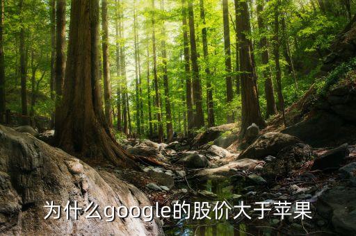 為什么google股票比apple貴，為什么微軟的股價(jià)比硅谷其他巨頭比如蘋(píng)果Google低那么多