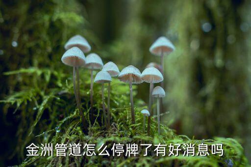 金州管道什么時候復(fù)牌，金洲管道什么時候復(fù)牌啊