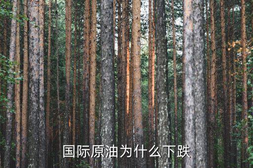 國際原油為什么暴跌，造成國際油價下跌的因素有哪些