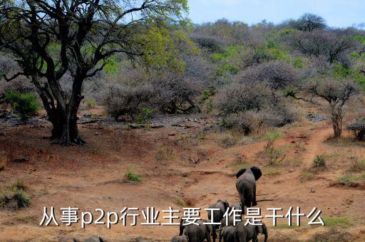 p2p運(yùn)營(yíng)主要做什么，從事p2p行業(yè)主要工作是干什么