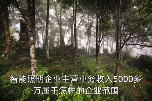 溫州宏豐主營(yíng)什么，請(qǐng)問(wèn)凈利率的公式計(jì)算是凈利潤(rùn)主營(yíng)業(yè)務(wù) 還是主營(yíng)業(yè)務(wù)還加其他也