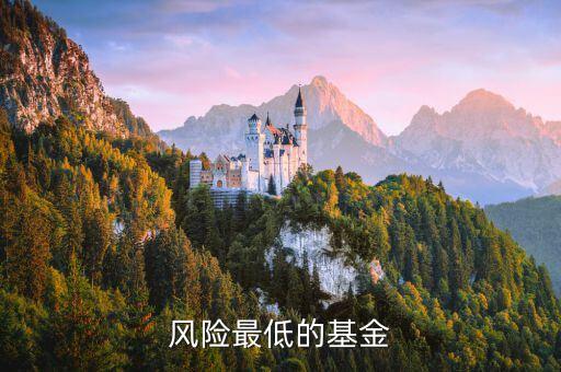 什么基金風險最低，風險最低的基金