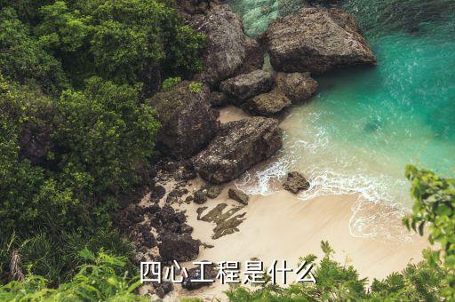 國(guó)航四心服務(wù)是什么，客運(yùn)服務(wù)人員作業(yè)通用標(biāo)準(zhǔn)中三要四心五主動(dòng)是如何規(guī)定的