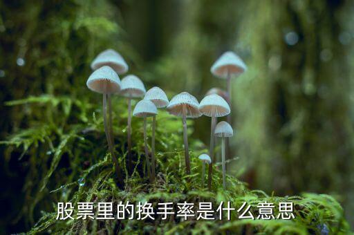 股票中換手率什么意思，股票里面的換手率是什么意思
