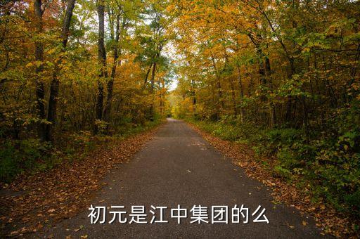 江中集團(tuán)有什么保健品，初元是江中集團(tuán)的么