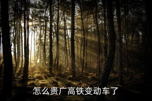 高鐵什么時(shí)候變動(dòng)車，怎么貴廣高鐵變動(dòng)車了
