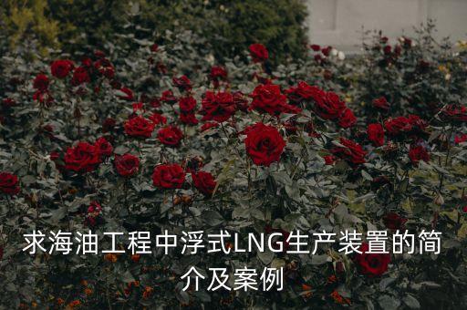 什么是浮式lng項(xiàng)目，什么是浮式LNG