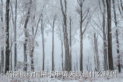 招商銀行信用卡申請(qǐng)失敗什么原因，招商銀行信用卡申請(qǐng)失敗是什么原因