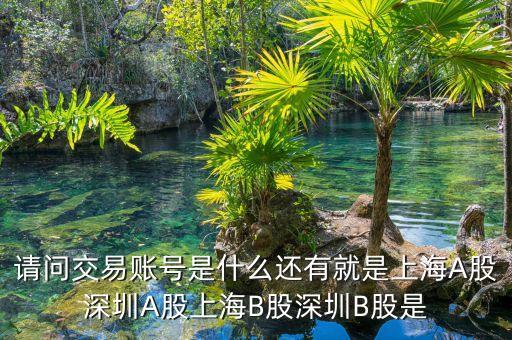 股東賬號是什么，請問交易賬號是什么還有就是上海A股深圳A股上海B股深圳B股是