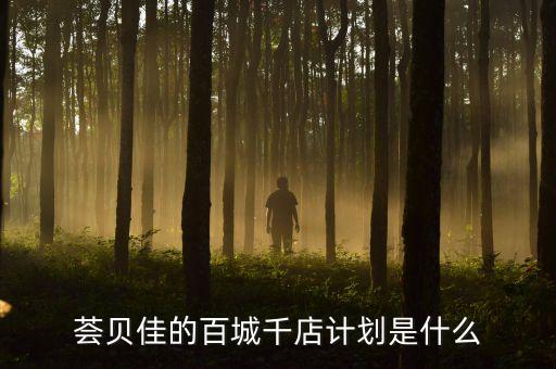 百城千店是干什么的，百城千店介貸是什么