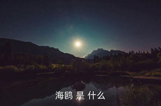海鷗和石墨是什么關(guān)系，MAURICE BLUM品牌和海鷗有什么關(guān)系