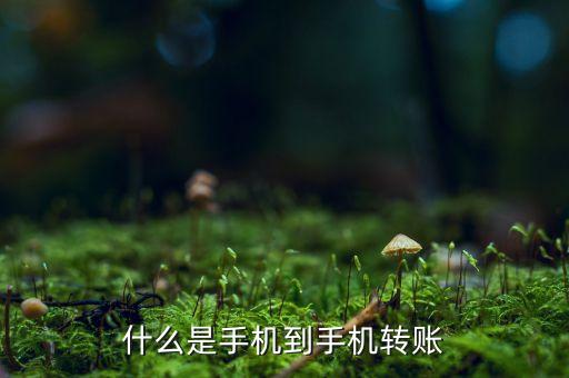 手機(jī)號(hào)匯款什么意思，什么叫匯款我用手機(jī)把卡上錢(qián)匯到另一個(gè)號(hào)會(huì)有問(wèn)題嗎多久能匯