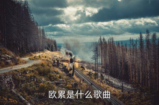 歐累歐累歐累是什么dj，溜冰場歐累歐累歐累是什么歌