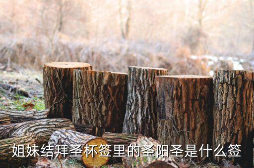 圣陽(yáng)圣屬什么簽，天災(zāi)禍不除我去拜佛了請(qǐng)問(wèn)下這只簽是什么意思啊好