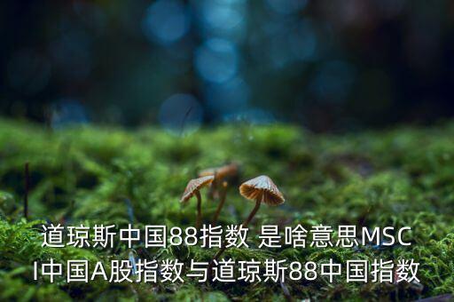 88開頭的股票是什么股，88打頭的股票代碼是那個(gè)交易所