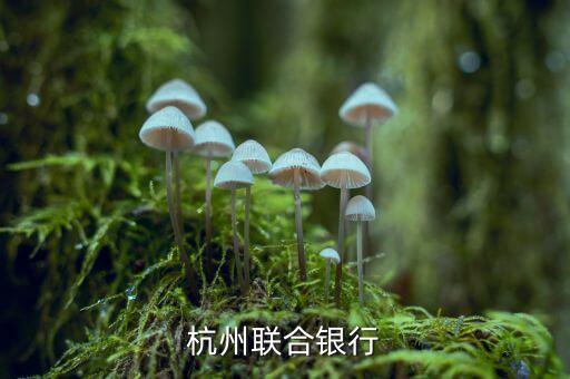 杭州聯合銀行