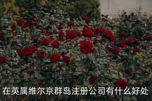 在英屬維爾京群島設(shè)立子公司有什么好處，設(shè)立子公司的好處有哪些