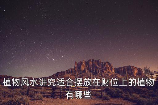 16年擺什么花利于財(cái)，客廳擺放什么花最吉利