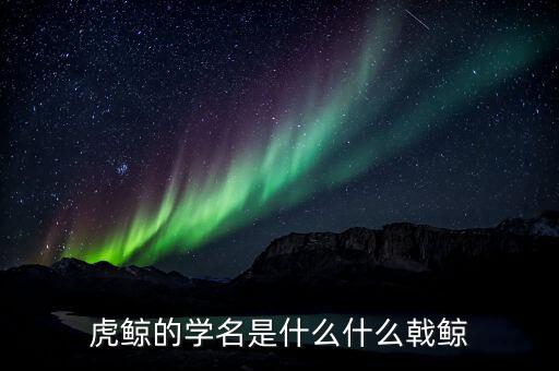 折戟鯨是什么，虎鯨的學(xué)名是什么什么戟鯨