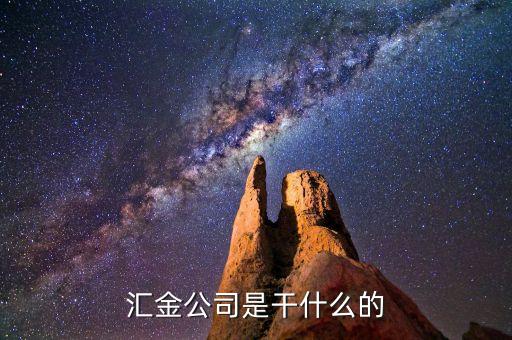 深圳惠程為什么匯金進(jìn)駐，匯金公司是怎么回事