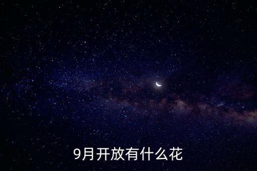 九月什么花經(jīng)路放，9月開放有什么花