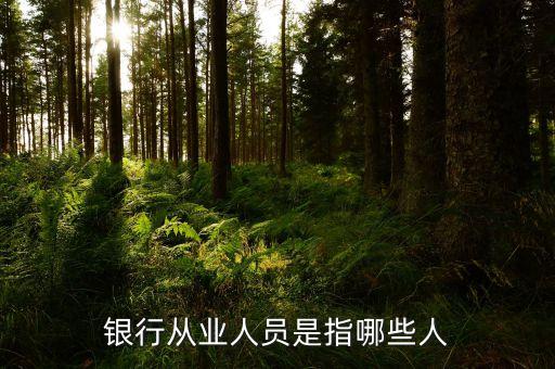 銀行從業(yè)人員是什么，我在銀行從業(yè)資格證里面看到一個銀行從業(yè)人員和銀行非從業(yè)人員