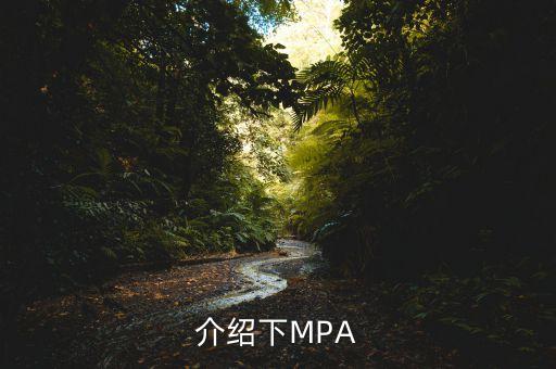 mpa投資是什么公司，mpa是什么單位