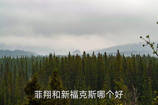 菲翔和新?？怂鼓膫€好