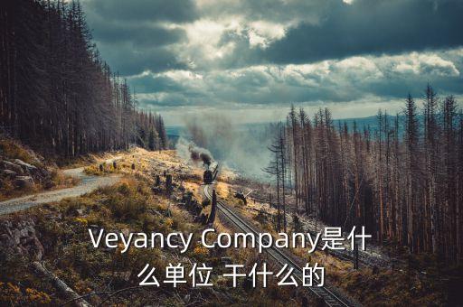 時(shí)代沃頓科技有限公司是什么單位，Veyancy Company是什么單位 干什么的