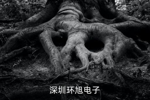 環(huán)旭電子經(jīng)營什么，上海環(huán)旭電子有限公司在什么地方