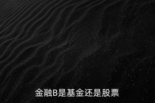 銀行b端是什么股票，金融B是基金還是股票
