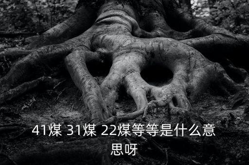 什么叫三二煤，2煤3煤什么意思