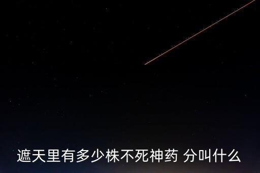 神藥代表什么，圣經(jīng)黃金沫藥什么含義