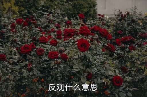 反觀當下是什么意思，求英語大神翻譯反觀當下