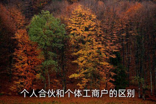 個(gè)人合伙領(lǐng)取什么經(jīng)營(yíng)執(zhí)照，個(gè)人合伙辦理個(gè)體工商戶執(zhí)照