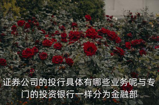 國內券商投行部在做什么，國有四大行的投行部在做什么