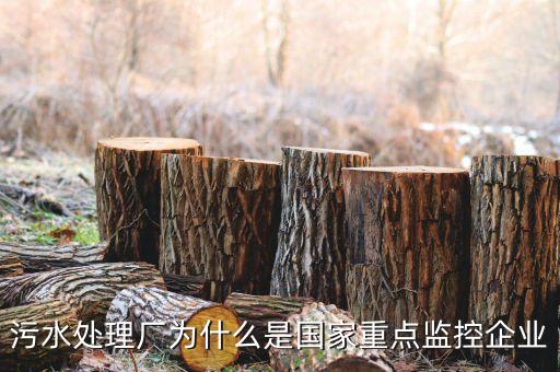 重點(diǎn)監(jiān)控企業(yè)為什么，稅務(wù)局來(lái)電要我們公處理重點(diǎn)監(jiān)控是什么意思
