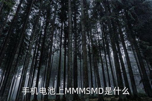 什么是電力儲(chǔ)能，手機(jī)電池上MMMSMD是什么
