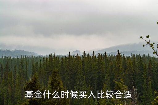 基金在什么時(shí)候買入，買入基金的最佳時(shí)機(jī)