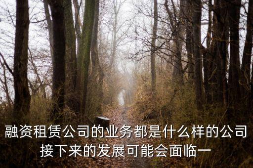 太平石化金融租賃公司是做什么的，有誰(shuí)知道融資租賃公司主要是做什么的嗎