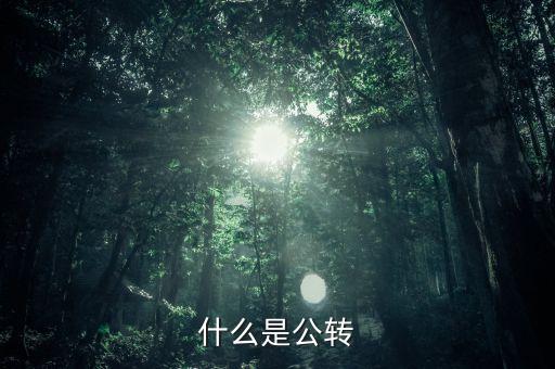 公轉書是什么，什么是公轉