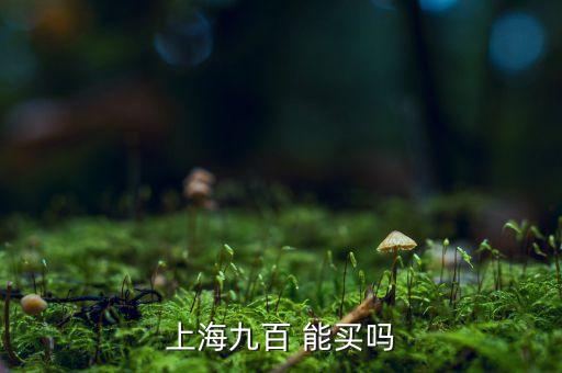 上海九百是做什么的，上海九百怎么樣