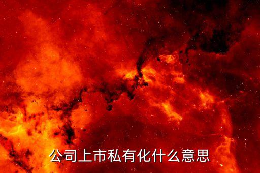 公司私有化是什么意思，企業(yè)私有化是什么意思