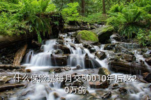 買什么保險每月返錢，買什么保險好每個月都可以領(lǐng)錢的那種
