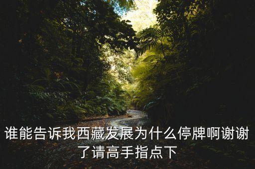 銀河投資什么時(shí)候復(fù)牌，銀河科技000806這個(gè)股票為什么連續(xù)停牌