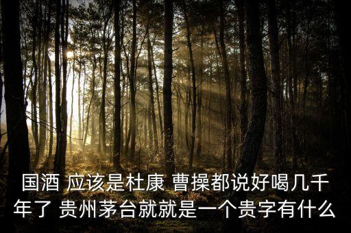 為什么不拿杜康當(dāng)國酒，為什么杜康酒沒有成為中國十大名酒之一