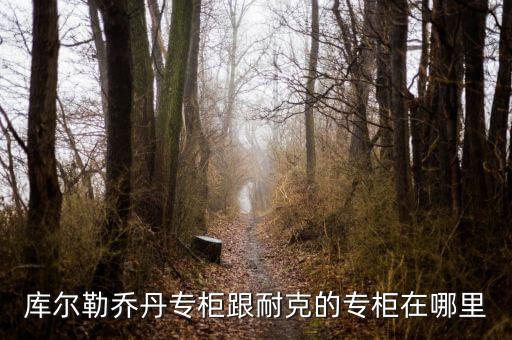 庫(kù)爾勒匯嘉有什么品牌，庫(kù)爾勒的匯嘉有沒(méi)有ZA化妝品專柜