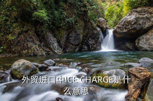 ice布油是什么，外貿進口中ICE CHARGE是什么意思